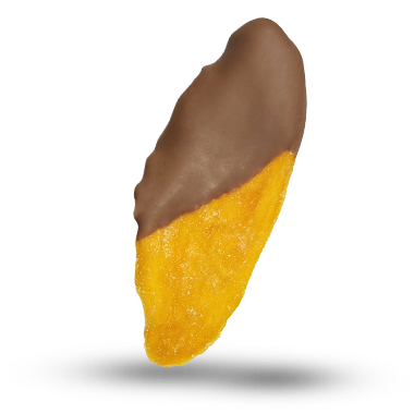Mango in belgischer Vollmilchschokolade